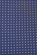 Slips & lommekluds pakke (Navy & guld prikket)
