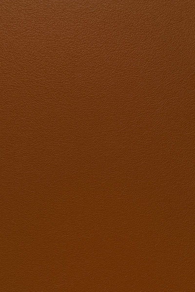 Brun dobbelt monk strap sko