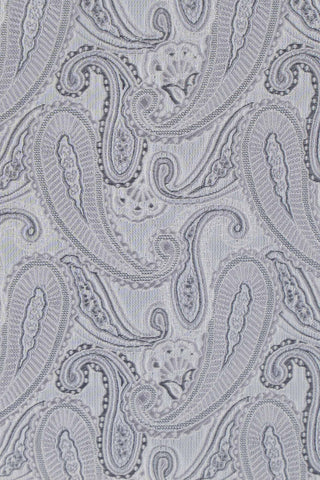 Sølv paisley slips PVD