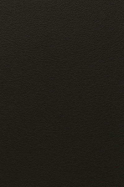 Sort dobbelt monk strap sko